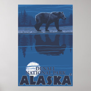 Bear in Moonlight - Denali National Park, Alaska Poster