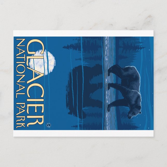 Bear in Moonlight - Glacier National Park, MT Postcard (Front)