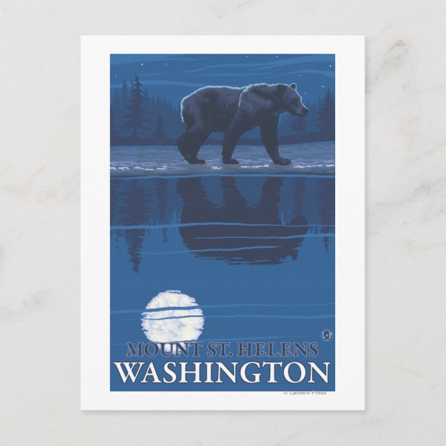 Bear in Moonlight - Mount St. Helens, Postcard (Front)