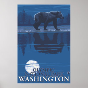 Bear in Moonlight - Olympic National Park, WA Poster