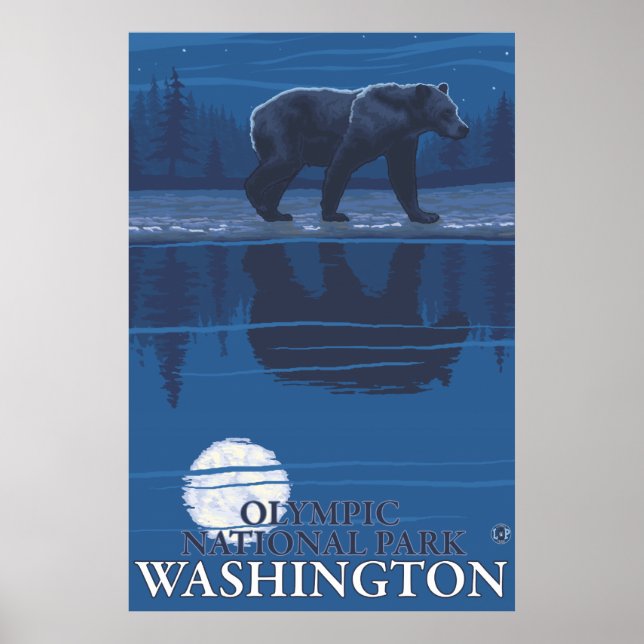 Bear in Moonlight - Olympic National Park, WA Poster (Front)