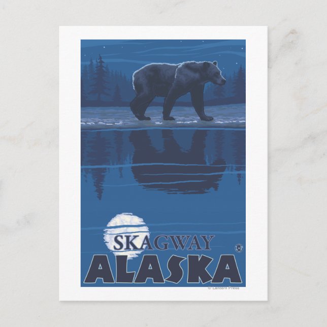 Bear in Moonlight - Skagway, Alaska Postcard (Front)