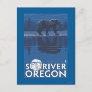 Bear in Moonlight - Sun River, Oregon Postcard