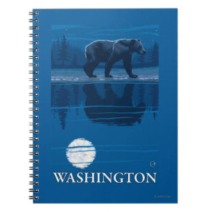 Bear in Moonlight - Washington Notebook