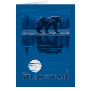 Bear in Moonlight - West Yellowstone, Montana