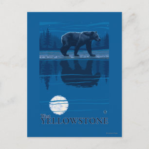 Bear in Moonlight - West Yellowstone, Montana Postcard