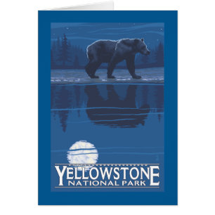 Bear in Moonlight - Yellowstone National Park