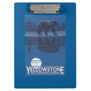 Bear in Moonlight - Yellowstone National Park Clipboard