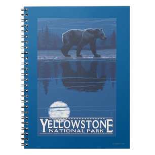 Bear in Moonlight - Yellowstone National Park Notebook