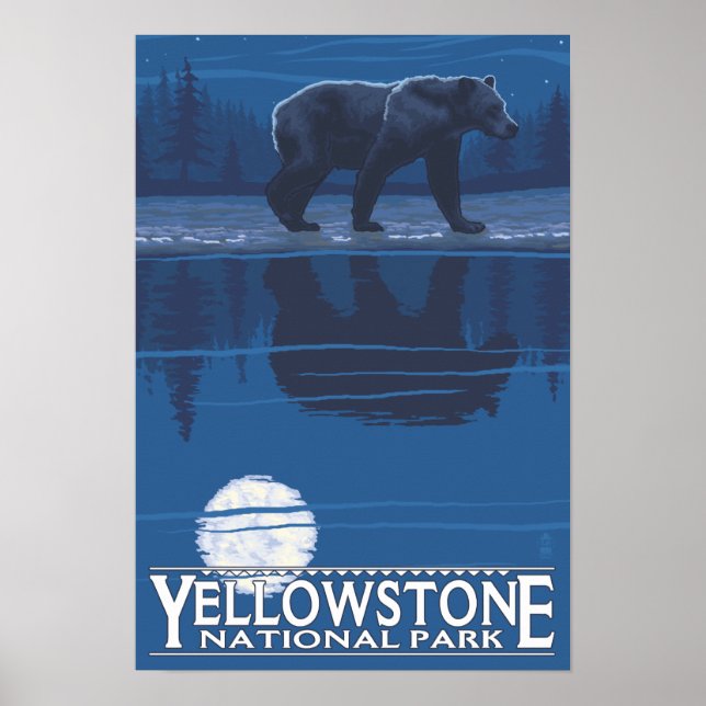 Bear in Moonlight - Yellowstone National Park Poster (Front)