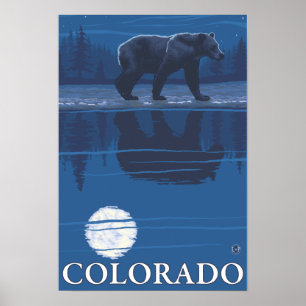 Bear in MoonlightColorado Poster