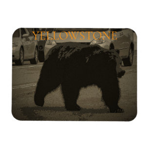 Bear in the Road Yellowstone National Park WY Magnet