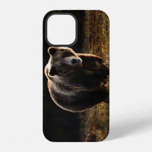 Bear iPhone 12 Case