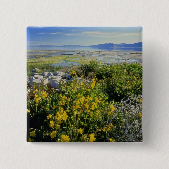 BEAR LAKE, UT, US, monkey-flower & tumbleweed, 15 Cm Square Badge (Front)