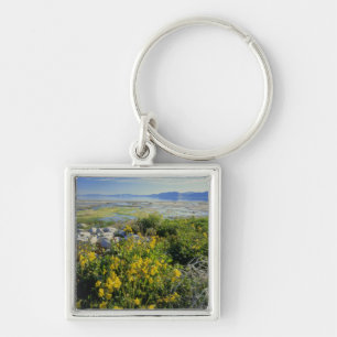 BEAR LAKE, UT, US, monkey-flower & tumbleweed, Key Ring