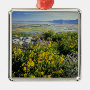 BEAR LAKE, UT, US, monkey-flower & tumbleweed, Metal Tree Decoration