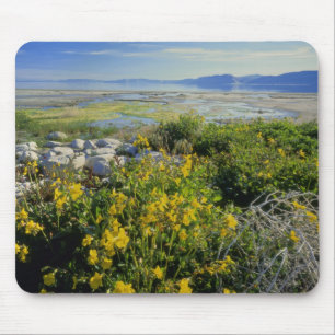 BEAR LAKE, UT, US, monkey-flower & tumbleweed, Mouse Pad