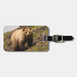 bear luggage tag