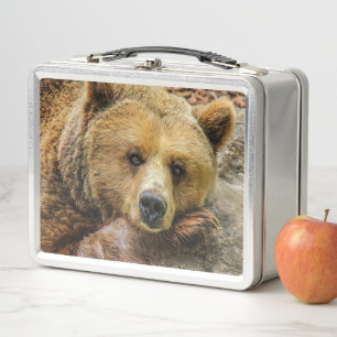Bear Metal Lunch Box