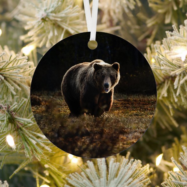 Bear Metal Tree Decoration (Insitu)