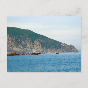 Bear Mountain Postcard