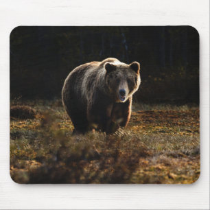 Bear Mouse Pad