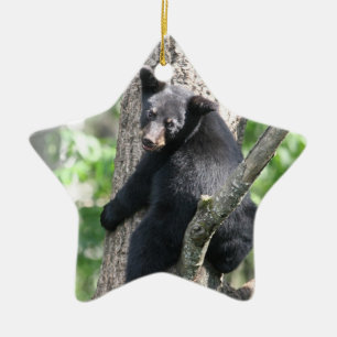bear  ornament