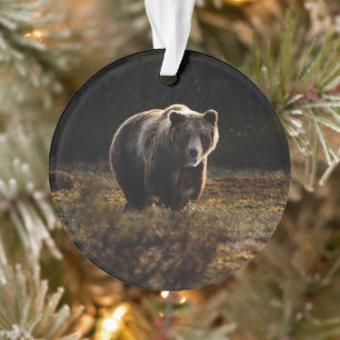 Bear Ornament