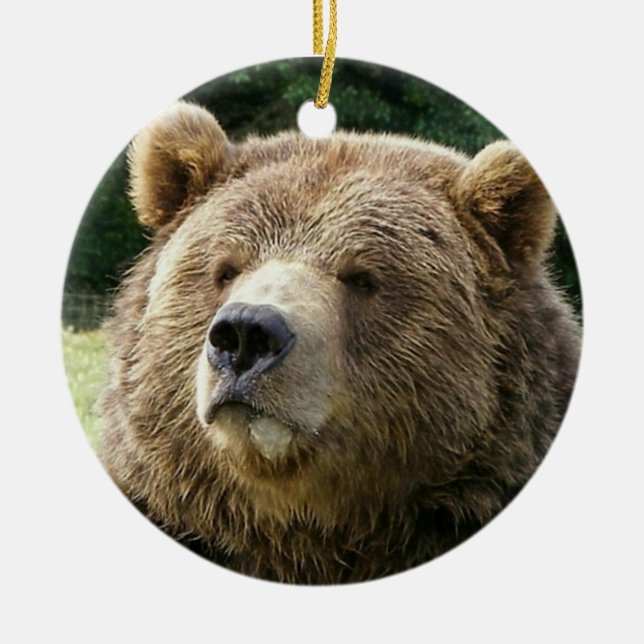 Bear Ornament (Front)