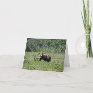 Bear Photo Blank Note Card