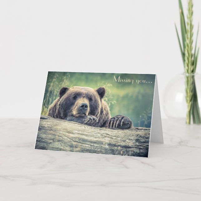 Bear Photograph Card: Missing You or any Occasion Card (Front)