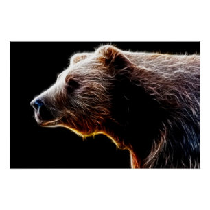 Bear Poster