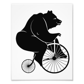Bear Riding a Vintage Penny Farthing Bicycle Photo Print