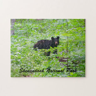 Bear - Shenandoah National Park Jigsaw Puzzle