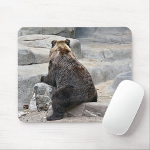 Bear Sitting On a Rock Mouse Pad
