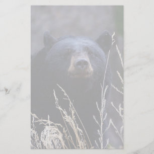 bear stationery