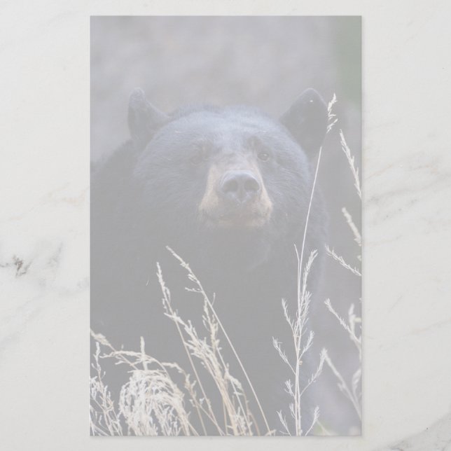 bear stationery (Front)