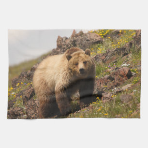 bear tea towel