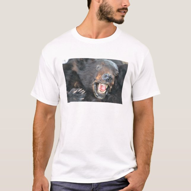 Bear Tee Shirt (Front)