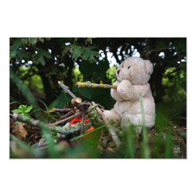 Bear that's on campfire. photo print (Front)