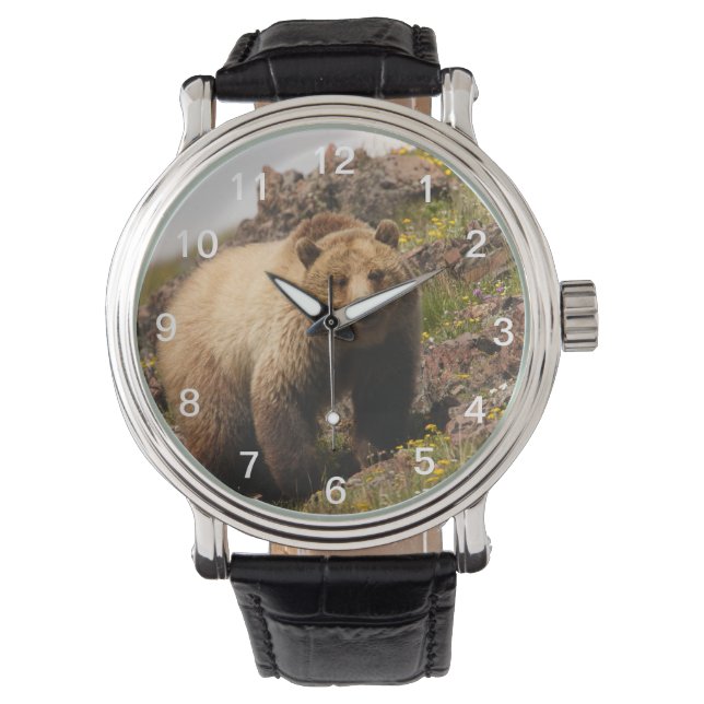 bear watch (Front)