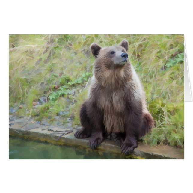 Bear: "What is this Owling Thing Anyway?" (Front Horizontal)