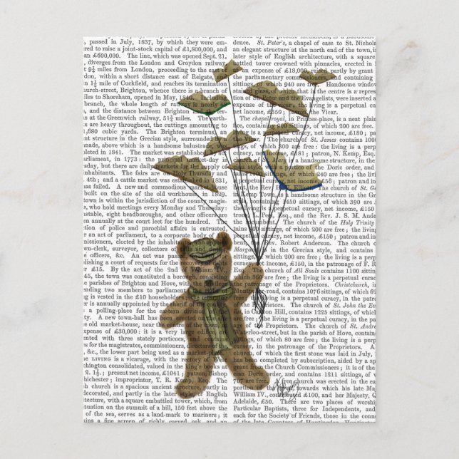 Bear with Book Butterflies Postcard (Front)