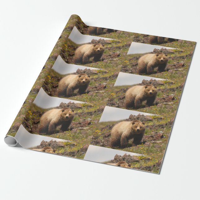bear wrapping paper (Unrolled)