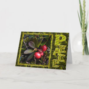 Bearberry Christmas, Unalaska Alaska Holiday Card