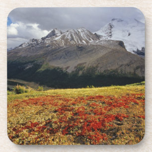 Bearberry in early autumn Athabasca Peak in the Coaster