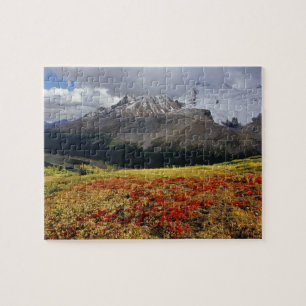 Bearberry in early autumn Athabasca Peak in the Jigsaw Puzzle