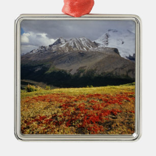 Bearberry in early autumn Athabasca Peak in the Metal Ornament