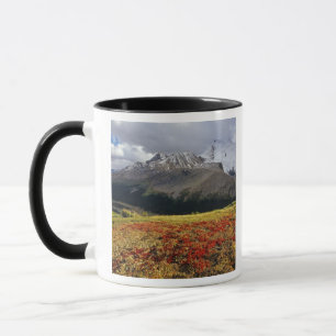 Bearberry in early autumn Athabasca Peak in the Mug