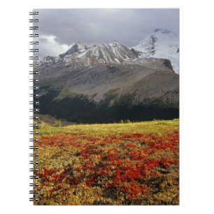Bearberry in early autumn Athabasca Peak in the Notebook